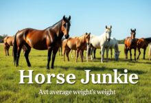 average horse weight