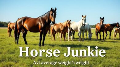 average horse weight