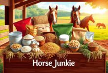 food name horse