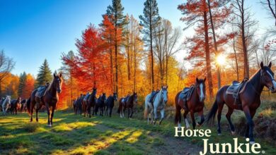 what are good trail horse breeds